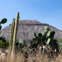 MEX MEX Teotihuacan 2019APR01 Piramides 004 : - DATE, - PLACES, - TRIPS, 10's, 2019, 2019 - Taco's & Toucan's, Americas, April, Central, Day, Mexico, Monday, Month, México, North America, Pirámides de Teotihuacán, Teotihuacán, Year